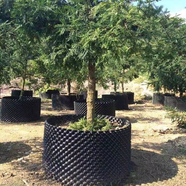 极速控根器植树专用塑料高培土围树板园艺盆景围栏加厚限根阻根板