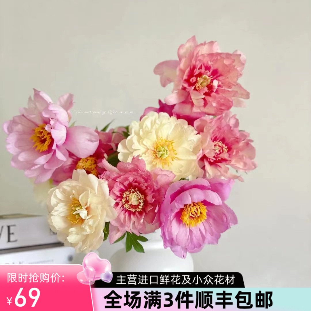 进口品种伊藤芍药牡丹系列优选花材鲜花速递全国多款选择热卖