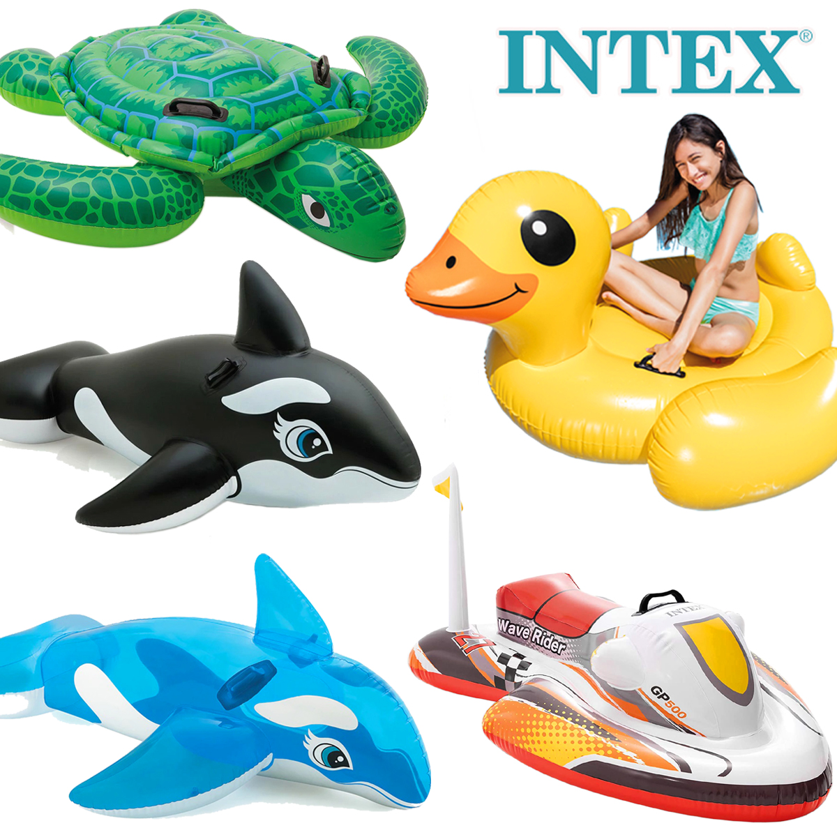 水上动物充气坐骑大海龟蓝鲸黑鲸浮排漂浮玩具成人儿童游泳圈气垫