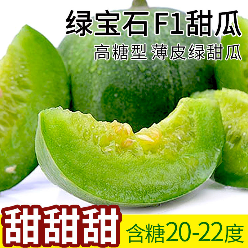 F1绿宝石甜瓜种子 薄皮超甜 香瓜种子春季四季脆瓜早熟高产香瓜籽
