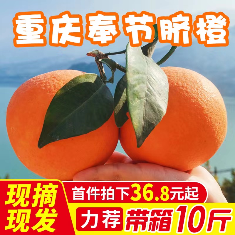 现摘奉节脐橙重庆巫山纽荷尔橙子新鲜水果柳橙广柑5斤包邮