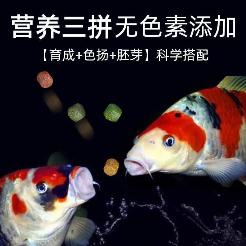 立玛红锦鲤金鱼小型鱼家用增色艳大颗粒型专用不浑水鱼食饲料%