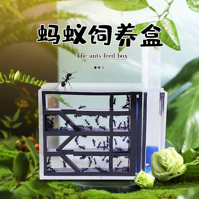 仿生蚁巢日本弓背蚁收获蚁新手蚂蚁工坊蚂蚁城堡宠物蚂蚁亚克力巢