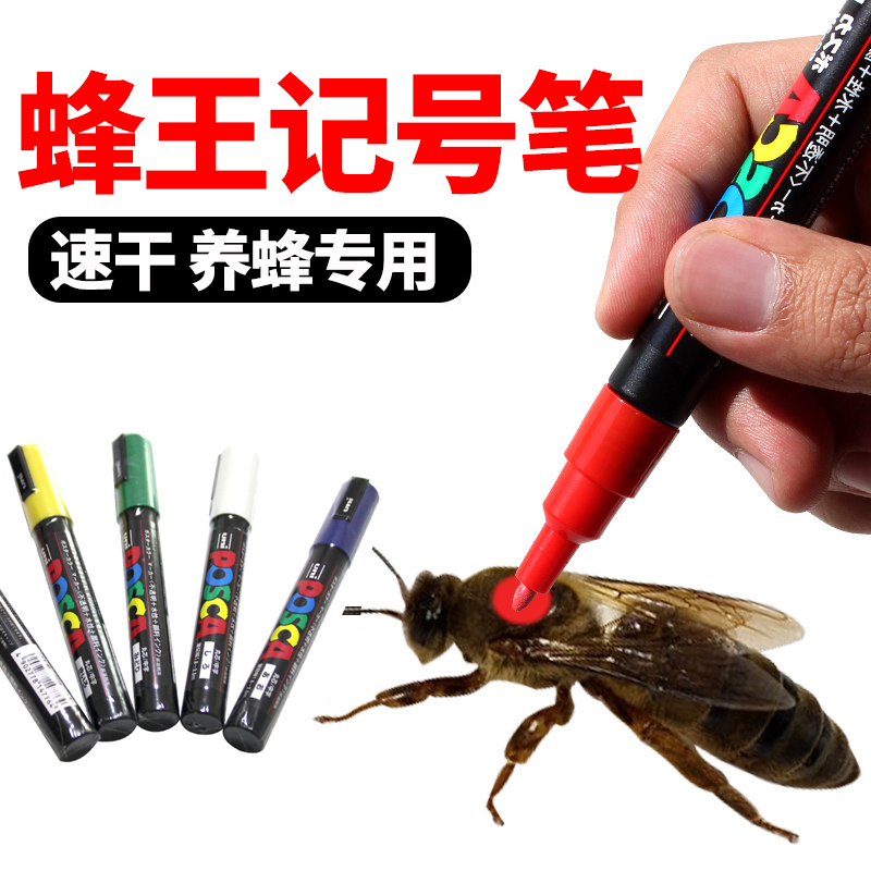 汪氏蜂王记号笔速干专用标记三菱日本进口蜜蜂使用不伤蜂记号笔