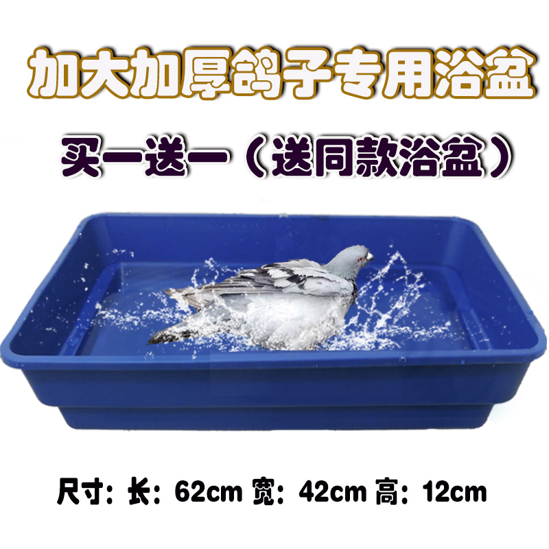 赛鸽信鸽专用大号澡盆鸽子洗澡盆浴盆鸽子用品用具鸽具买一送一