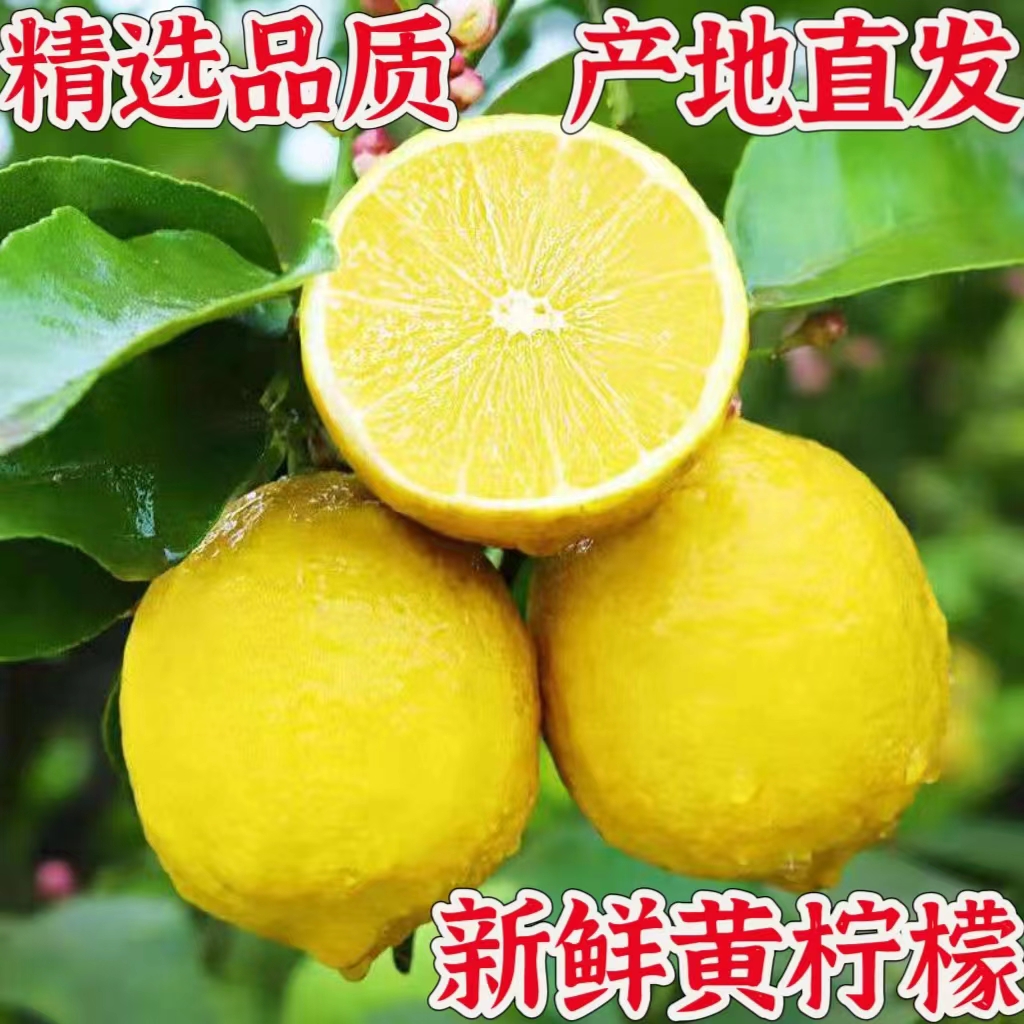 新鲜黄柠檬新鲜水果当季整箱精选皮薄香水甜青柠檬产地直发特产
