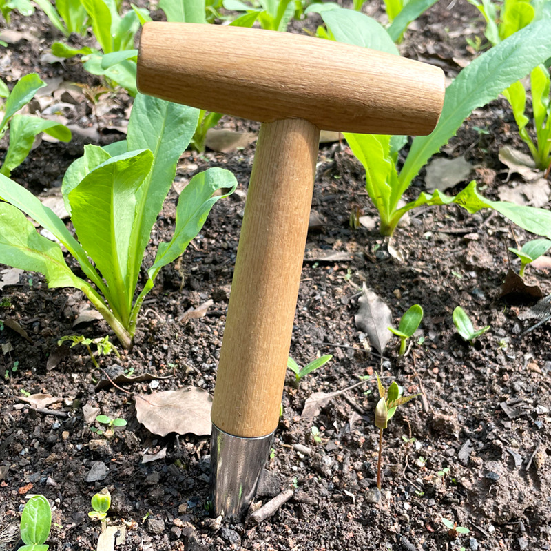 园艺打洞器型施肥种菜种子移苗种植工具木柄园林追肥打孔播种器