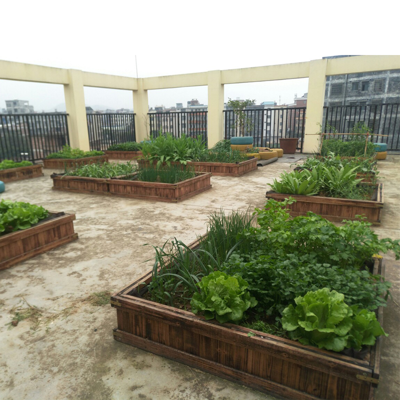 极速一米菜园种植箱槽楼顶屋顶阳台种菜盆长方形防腐木花盆养殖箱
