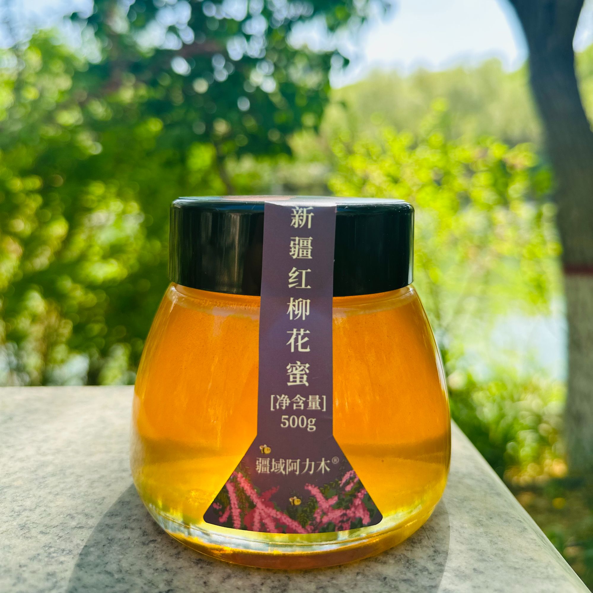 疆域阿力木技能包新疆红柳花蜜蜂蜜源地直发顺丰新疆蜂蜜500克