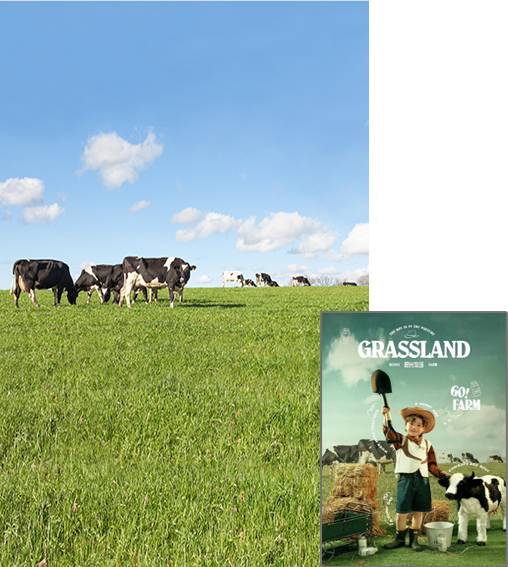 影楼摄影背景布儿童拍照背景纸蓝天农场草地奶牛木屋阳光牧场