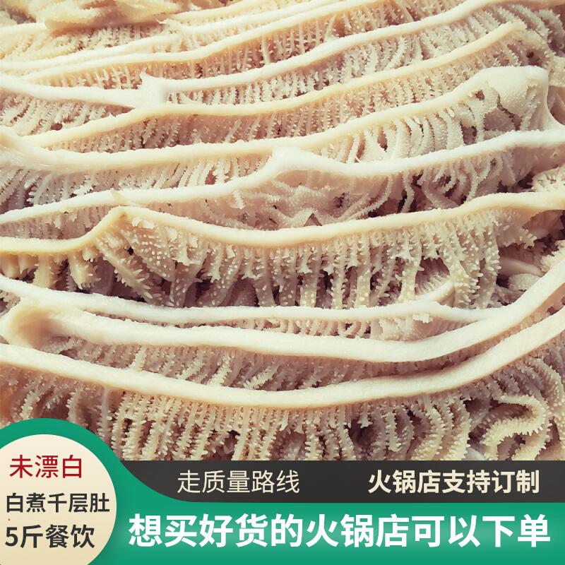 新鲜千层肚商用 5斤 四川火锅食材牛百叶 餐饮 未漂白