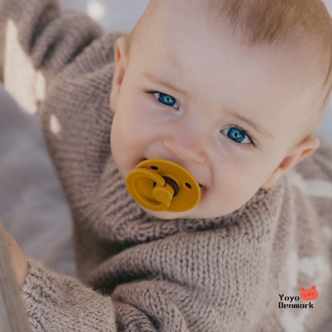 95折丹麦 BIBS婴幼儿新生宝宝圆头天然乳胶安抚奶嘴不含BPA单个装