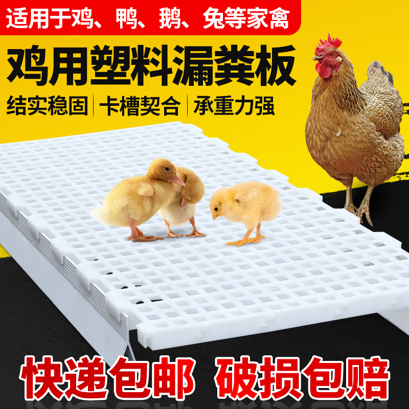 鸡用漏粪板家禽用加厚塑料漏粪网格鸡鸭鹅用漏屎地板鸽子鸡舍网板