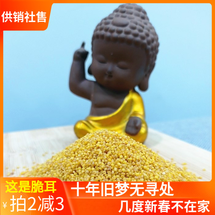 陕西特产榆林米脂小米1500g粗粮陕北小黄米精品杂粮小米粥宝辅食