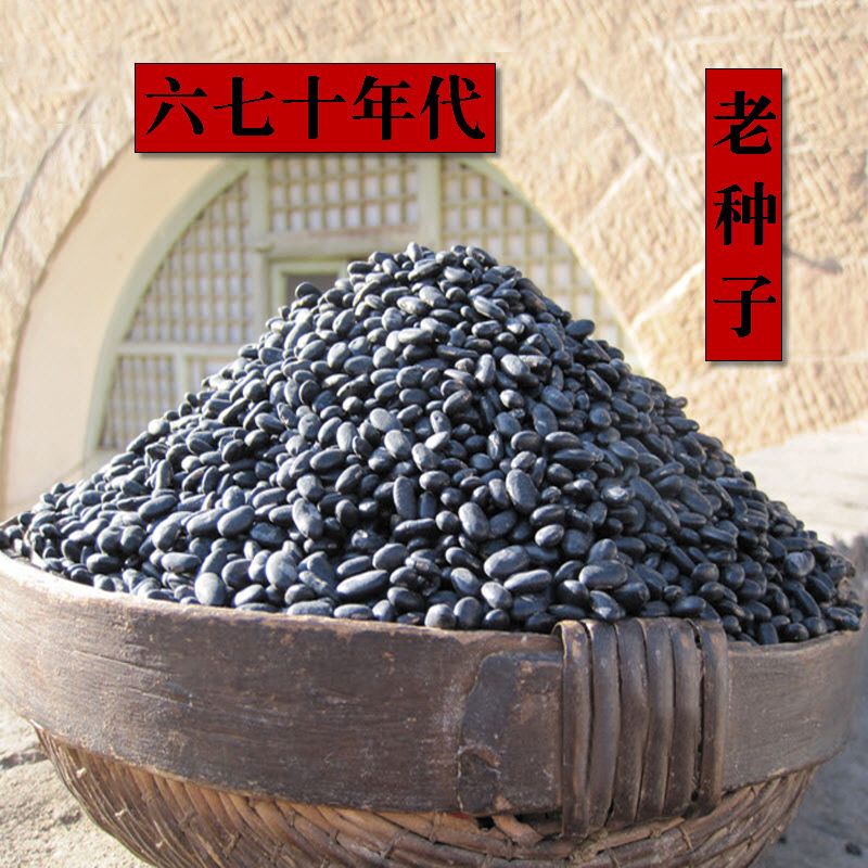 王小帮杂粮黑豆黄心芯腰子形农家自产种醋泡专用制作黑豆豉料1斤
