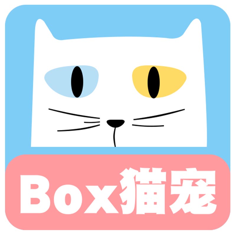 深圳box猫宠 仰望星空