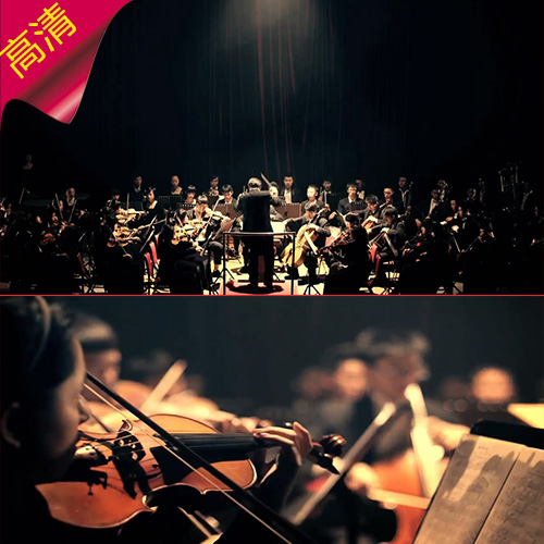 实拍小提琴大提琴演奏现场  音乐演奏会  交响乐团  视频素材