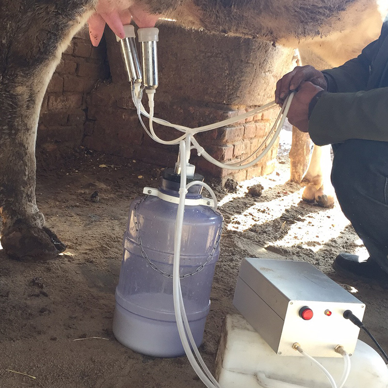 奶牛吸奶器挤奶机羊用挤奶器的牛用小型家用电动吸羊奶器挤牛奶器