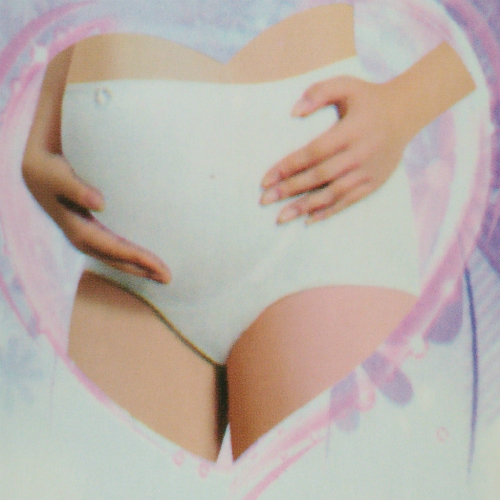 俏佳欣纯棉4-6个月孕妇内裤装可以松紧方便内裤正品批发2条包邮