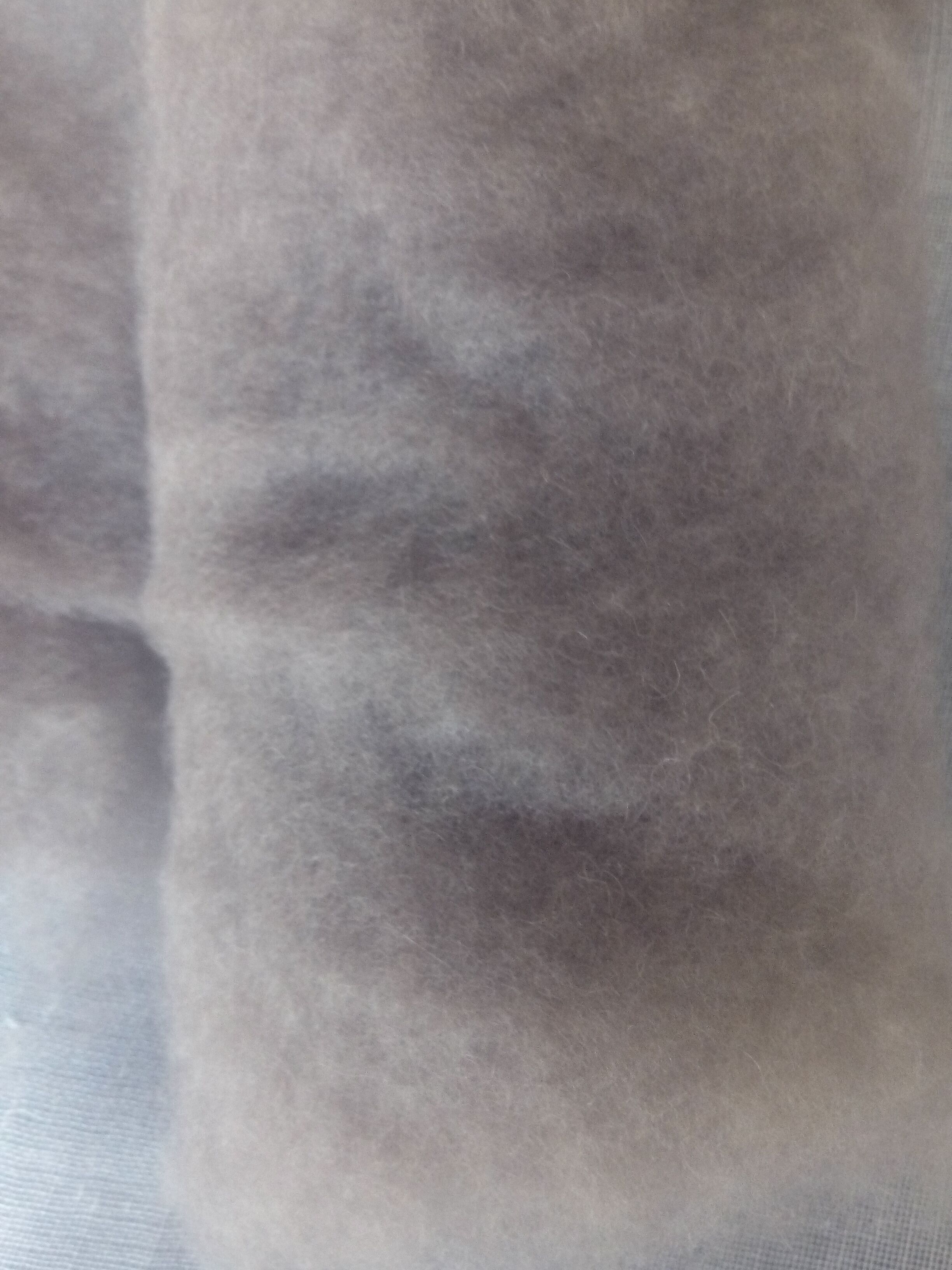 正宗内蒙古 精品骆驼绒 驼绒被子棉衣棉裤填充物250克 纯驼绒