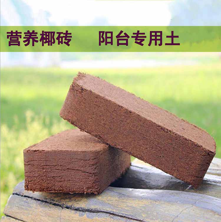 椰砖有机养花肥料营养土精品椰砖椰土椰糠多肉土壤植物通用种植土
