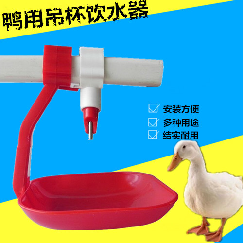 鸭鹅用方管乳头自动饮水器钢球饮水嘴接水杯方管吊杯接水碗家禽用